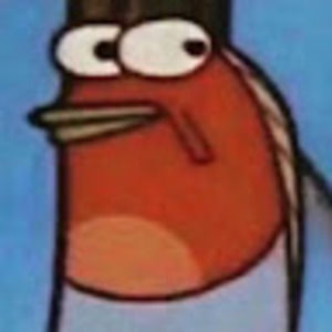 Meet your Posher, Maddie